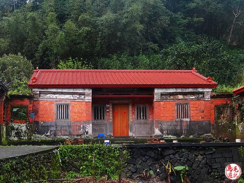 雙泰公路雨中風情畫 (2).jpg