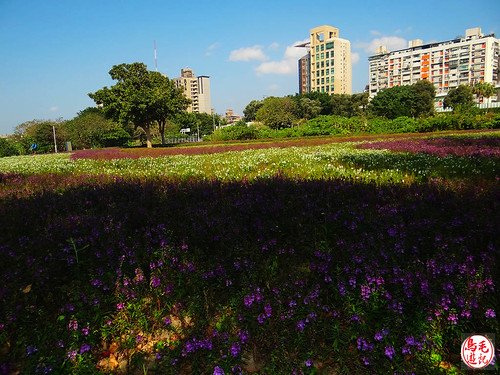 景福河濱自行車步道、客家文化館 (16).jpg