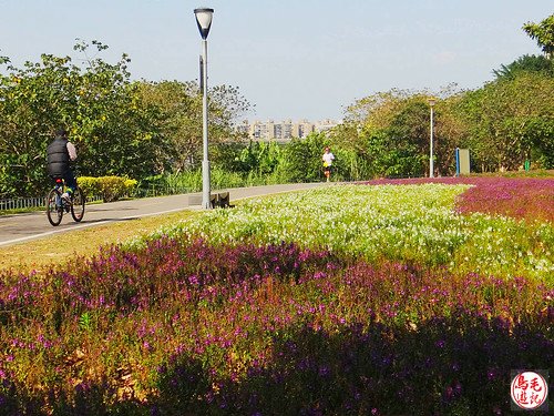 景福河濱自行車步道、客家文化館 (18).jpg