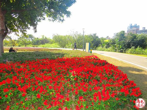 景福河濱自行車步道、客家文化館 (21).jpg