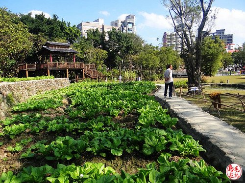 景福河濱自行車步道、客家文化館 (25).jpg