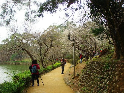 角板山梅園‧環湖步道 (10).jpg