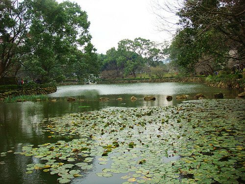 角板山梅園‧環湖步道 (13).jpg