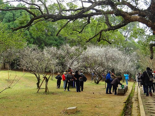 角板山梅園‧環湖步道 (20).jpg