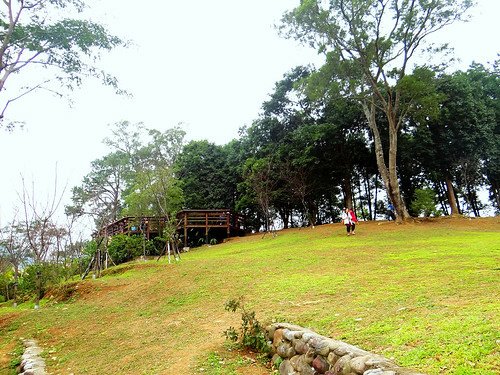 角板山梅園‧環湖步道 (28).jpg