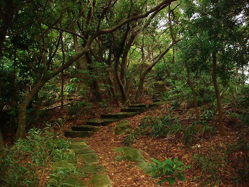 唭哩岸後山步道 (6).jpg