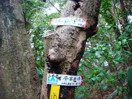 唭哩岸後山步道 (10).jpg