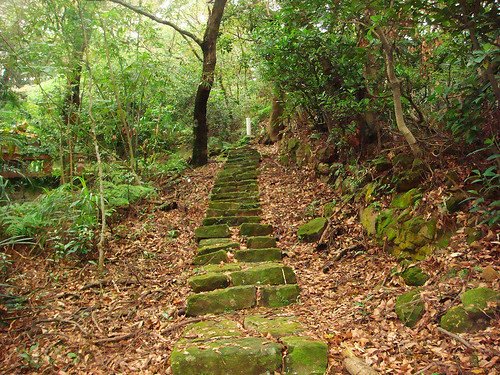 唭哩岸後山步道 (13).jpg