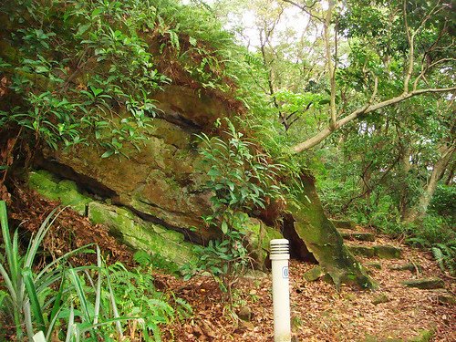 唭哩岸後山步道 (14).jpg