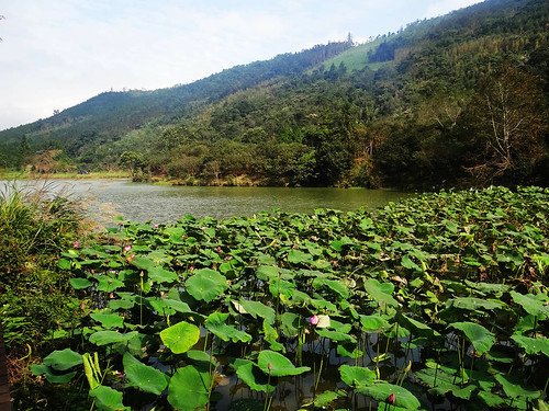 向天湖光天高山 (121).jpg