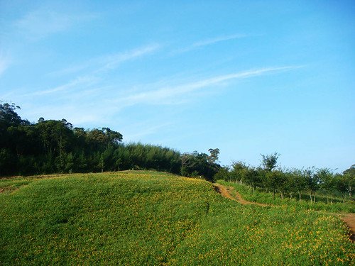 玉里赤柯山 (60).jpg