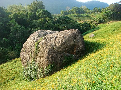 玉里赤柯山 (63).jpg