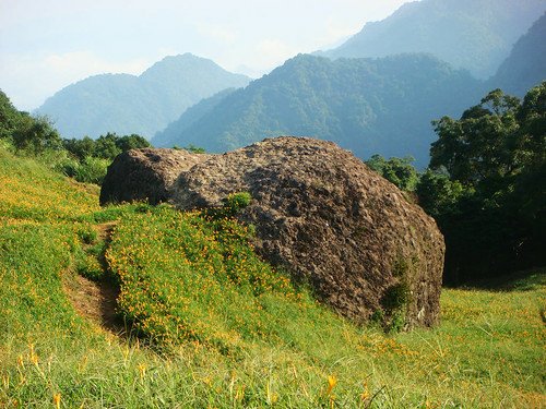 玉里赤柯山 (66).jpg