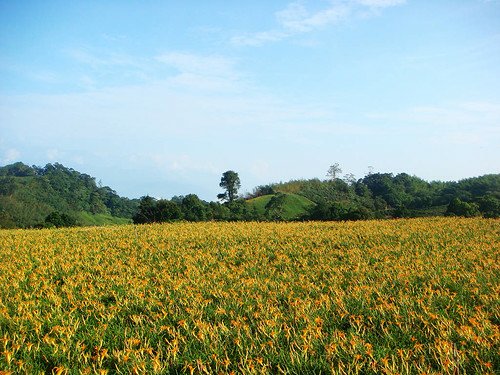 玉里赤柯山 (74).jpg