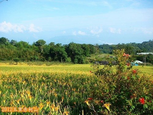 玉里赤柯山 (86).jpg