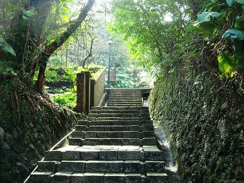 黃金神社貂山古道 (2).jpg