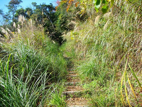李棟山古堡秀鑾楓情 (4).jpg