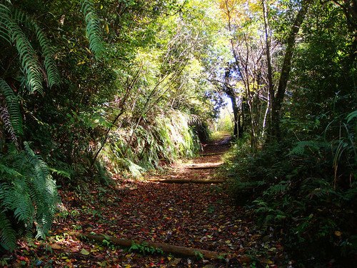 李棟山古堡秀鑾楓情 (6).jpg