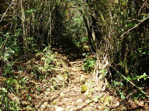 李棟山古堡秀鑾楓情 (8).jpg