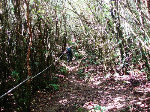 李棟山古堡秀鑾楓情 (10).jpg