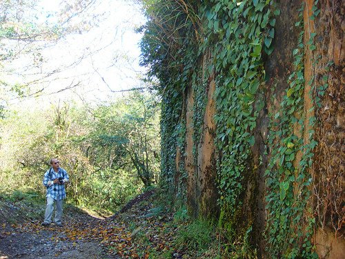 李棟山古堡秀鑾楓情 (16).jpg