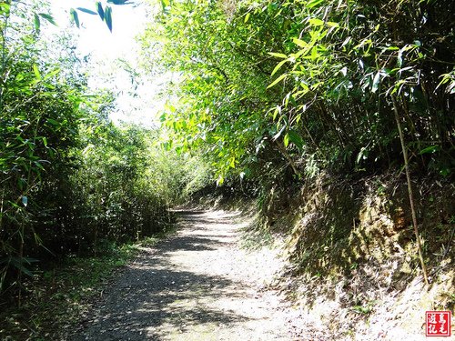 大嶺古道