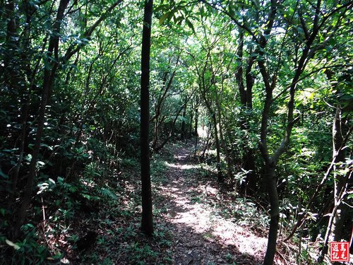 大嶺古道