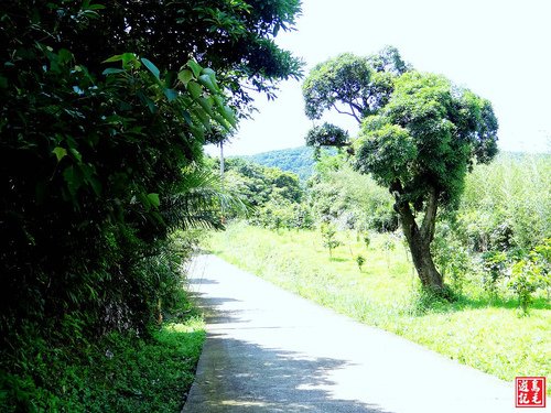 大嶺古道