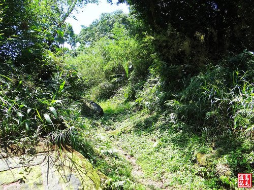 大嶺古道
