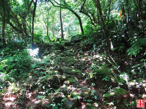 大嶺古道