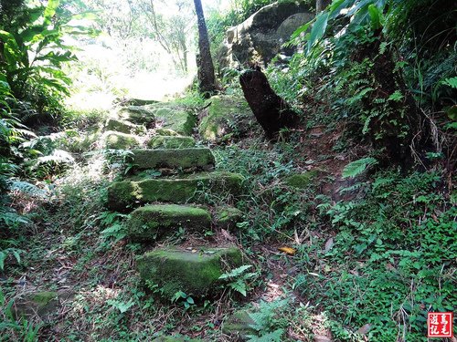 大嶺古道