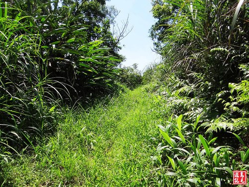 大嶺古道