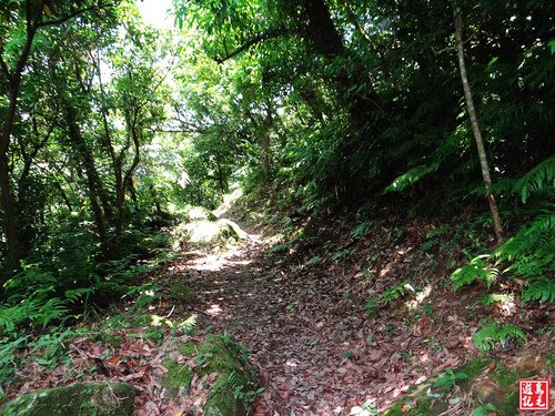 大嶺古道