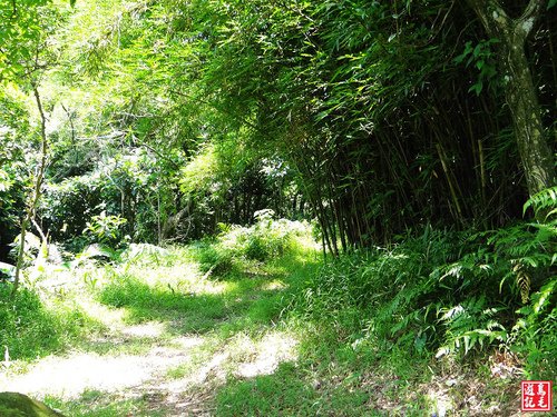 大嶺古道