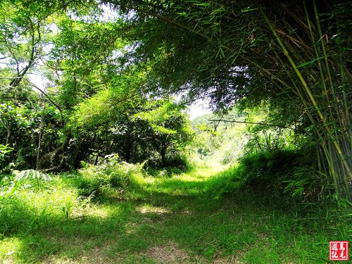 大嶺古道