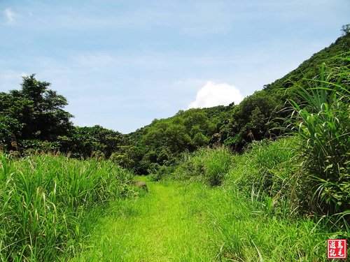 大嶺古道