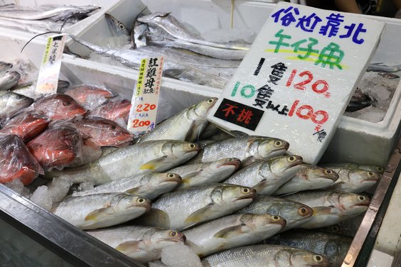 全台最大最超值活體冰鮮海鮮賣場，台中最大水產超市 『阿布潘水