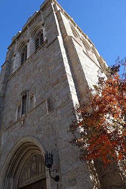 Day 3 -LA. Pasadena City Hall &amp; All Saint Church (10).jpg