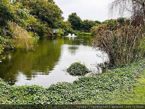 ＊【台南開箱】超酷的城市森林「巴克禮紀念公園」荒野公園，你我