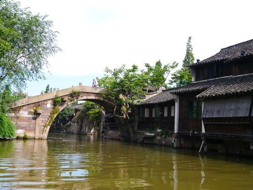 【中國 上海】上海双古鎮之旅 (18)丨烏鎮西柵景區 - 觀