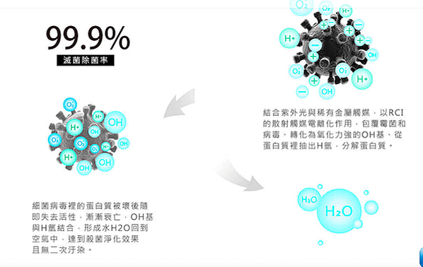 螢幕快照 2020-02-24 下午7.48.42