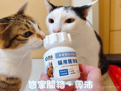 寵物日記｜【奧沛】貓咪關節保健推薦｜奧沛 OurPet 貓用