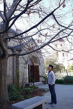 Day 3 -LA. Pasadena City Hall &amp; All Saint Church (21).jpg