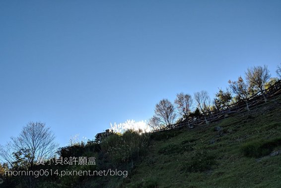 黃小貝＆旅遊手札  南投景點❖清境農場 ✕ 青青草原 ✕ 清境高空觀景步道