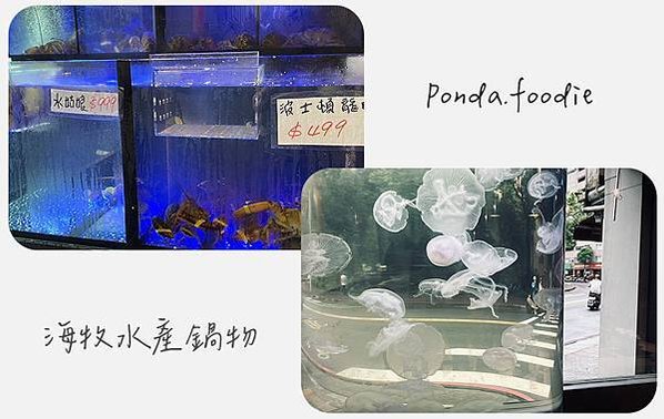 新北美食|海牧水產鍋物，海鮮產地直送，新鮮吃得到!