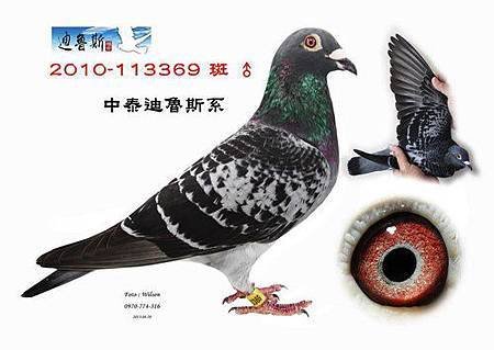 請輸入圖片標題