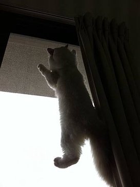 IMG_0835.JPG