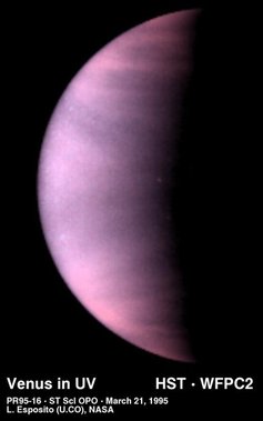 venus95.jpg