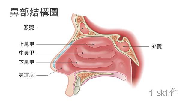 Chen-Doctor-NasalCongestion-2