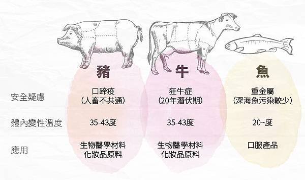 內文圖膠原蛋白在生醫產業中的價值-03